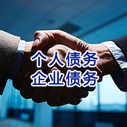 盘龙追债公司